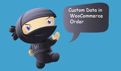 custom-data-woocommerce-order