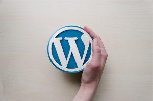 wordpress-hosting-maintenace