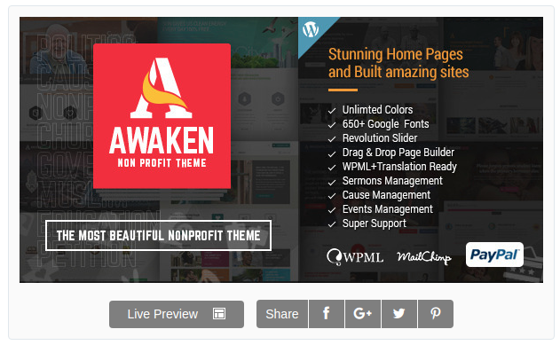 awaken-non-profit-organization-website