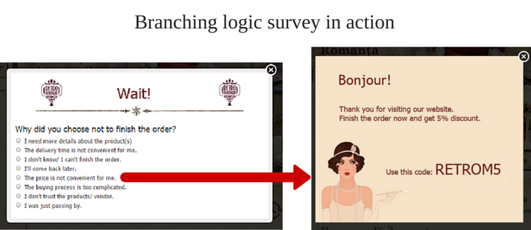 branching-logic-survey-example