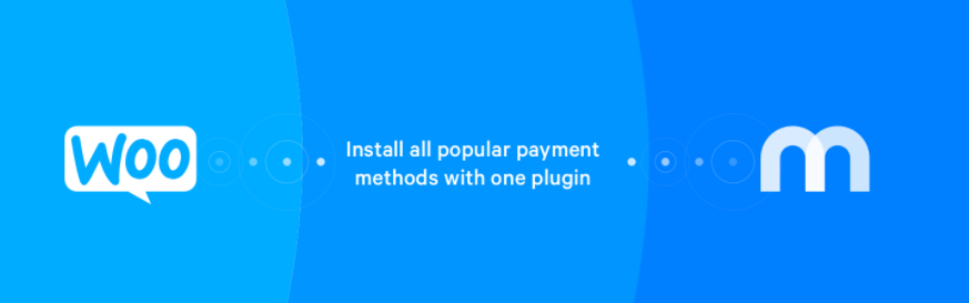 mollie-payments-woocommerce-plugin